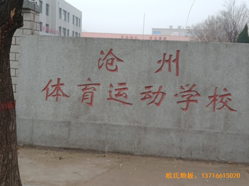 河北滄州體育學(xué)校籃球館運(yùn)動(dòng)木地板鋪設(shè)案例0