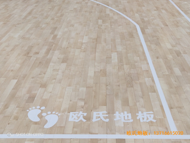 西寧世紀(jì)職業(yè)技術(shù)學(xué)?；@球館體育地板施工案例4